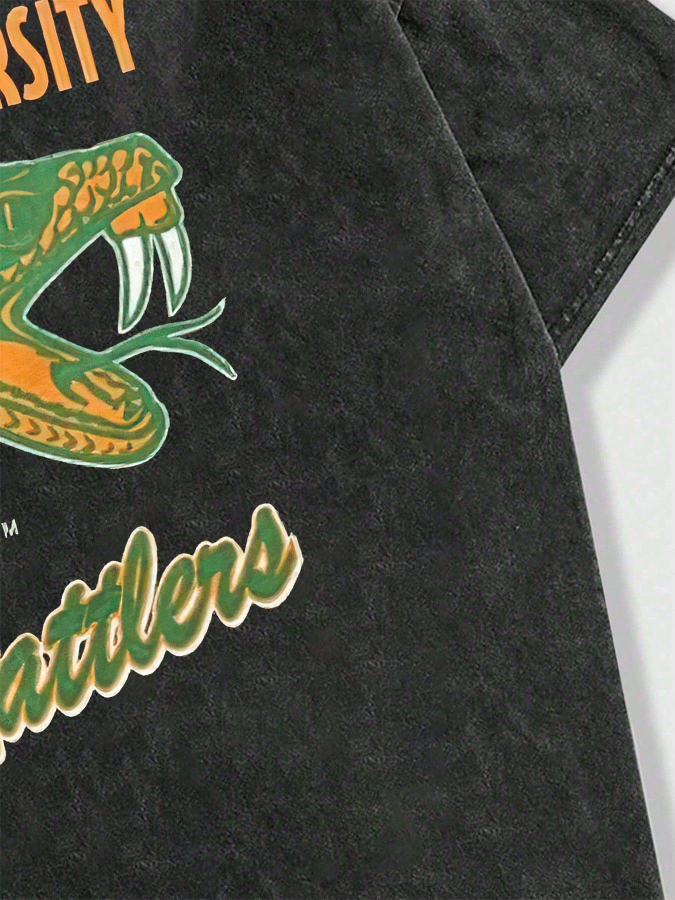 1 Piece Men's Black "Florida A&M University Rattlers" Graphic Tee, Vintage Street Life Retro Washed Printed Short Sleeve 230g Cotton T-Shirt, Summer Casual, Unisex